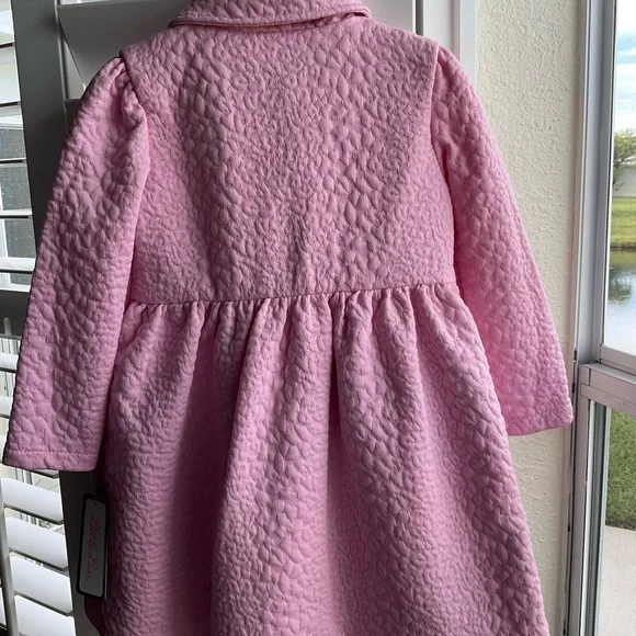NWT Little Lass 3-Piece Set - Quilted Coat, Satin Floral Dress & Handbag 2T - Picture 4 of 14